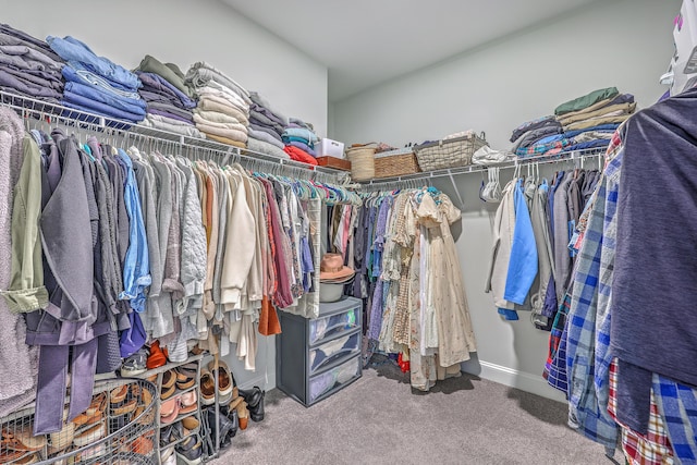 walk in closet with carpet