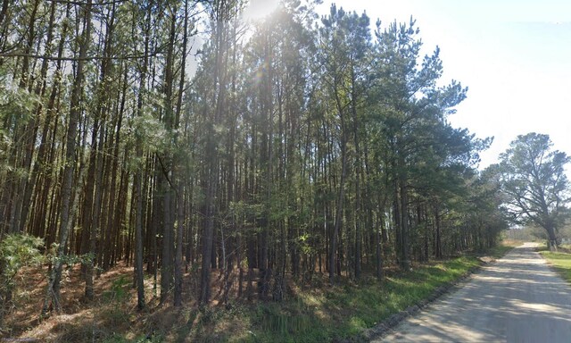 0 Bonanza Dr, Eutawville, SC 29048
