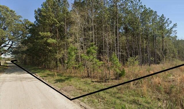 0 Bonanza Dr, Eutawville, SC 29048