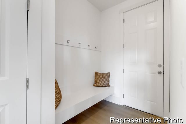 mudroom featuring dark wood-type flooring