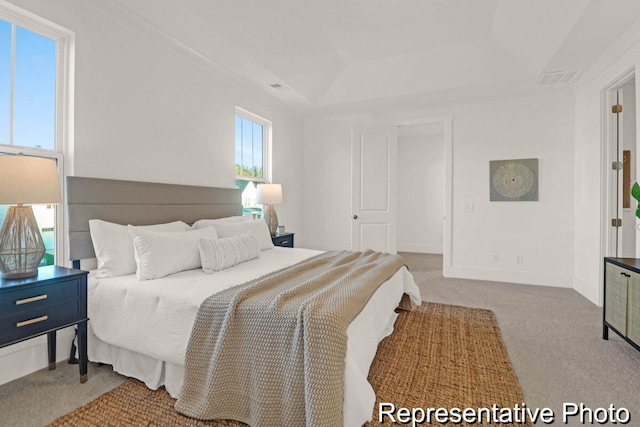 bedroom featuring a tray ceiling, visible vents, baseboards, and carpet