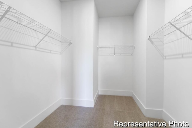 walk in closet featuring carpet floors