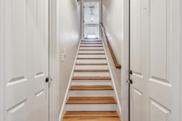 stairway featuring hardwood / wood-style floors and ceiling fan