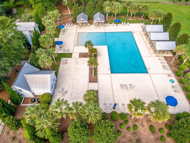 drone / aerial view
