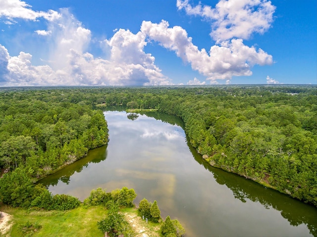 aerial view featuring a view of trees and a water view