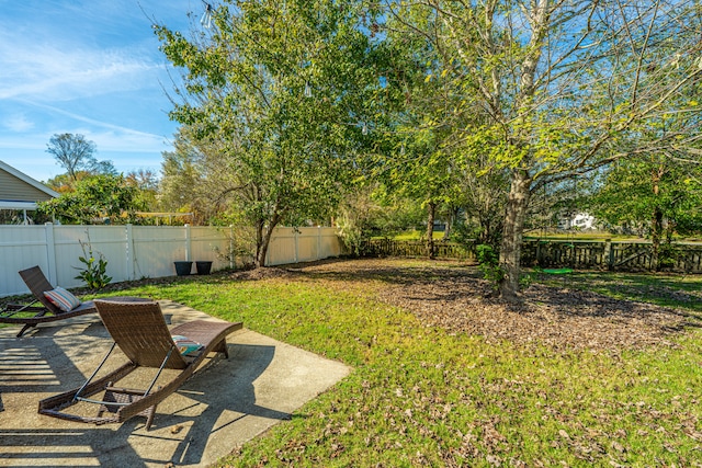 view of yard with a patio area