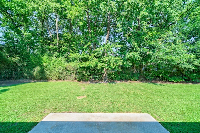 7 Plainfield Dr, Charleston, SC 29407 - view of green lawn featuring a patio