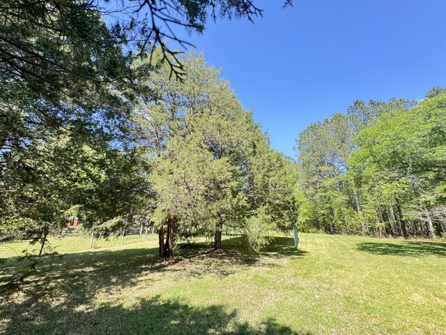 view of green lawn