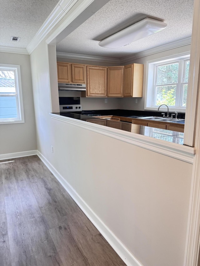 kitchen featuring under cabinet range hood, a textured ceiling, stainless steel electric range oven, healthy amount of natural light, and wood finished floors