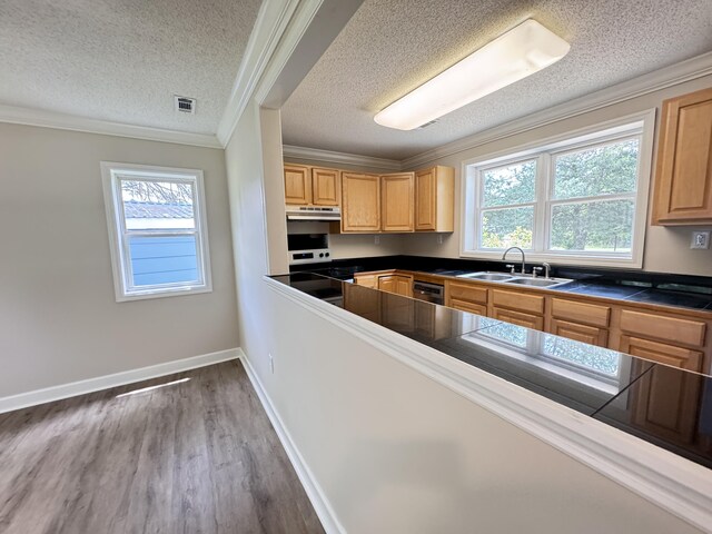 kitchen featuring a sink, wood finished floors, healthy amount of natural light, a textured ceiling, and ornamental molding