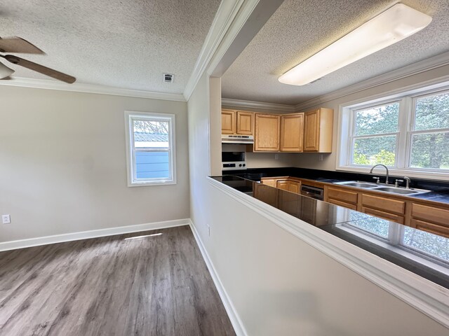kitchen featuring a sink, dark countertops, ornamental molding, wood finished floors, and a textured ceiling
