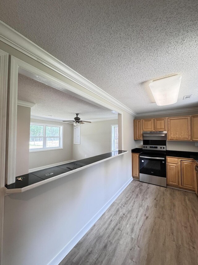 kitchen with stainless steel range with electric cooktop, a textured ceiling, under cabinet range hood, light wood finished floors, and crown molding
