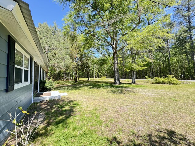 view of grassy yard
