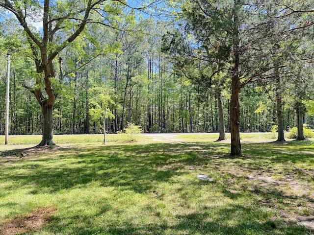 view of grassy yard featuring a wooded view