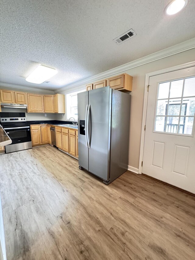 kitchen with stainless steel appliances, ornamental molding, under cabinet range hood, a sink, and light wood-style flooring