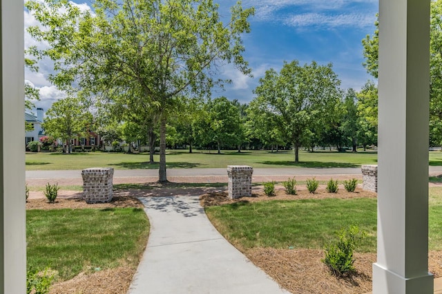 view of community with a lawn