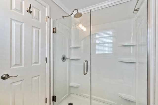325 N 58th Ave, North Myrtle Beach, SC 29582 - bathroom with a shower stall