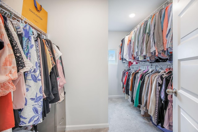 533 Richfield Way, Summerville, SC 29486 - walk in closet with carpet floors