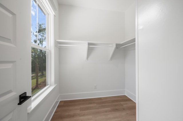 walk in closet featuring hardwood / wood-style flooring