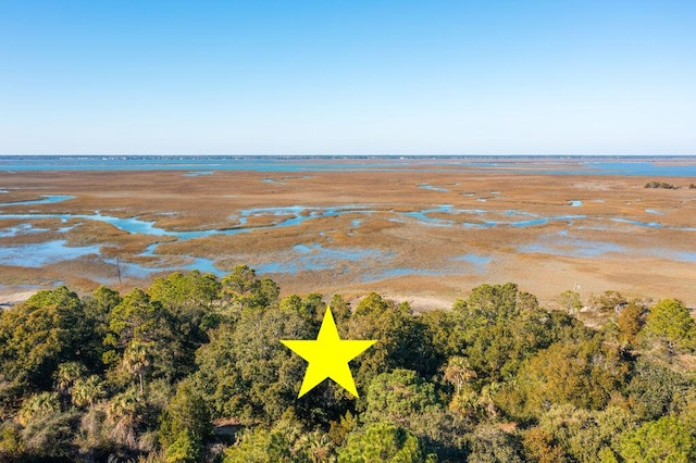 342 Old House Ln, Dewees Island SC, 29451 land for sale