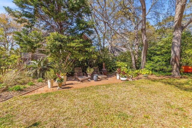 1324 Southlake Dr, Mount Pleasant, SC 29464 - view of yard