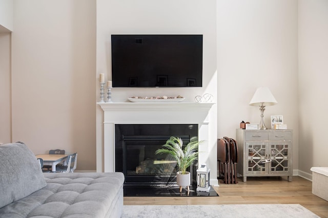291 Lucca Dr, Summerville, SC 29486 - living room featuring wood finished floors and a glass covered fireplace