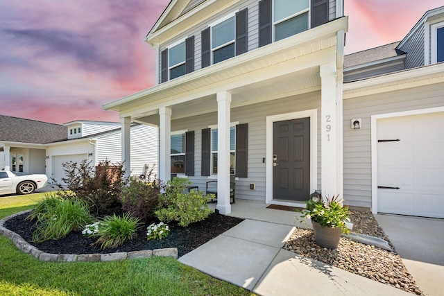 291 Lucca Dr, Summerville, SC 29486 - view of exterior entry with a porch