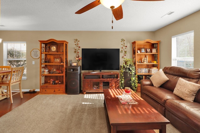 living room featuring a textured ceiling, plenty of natural light, and ceiling fan