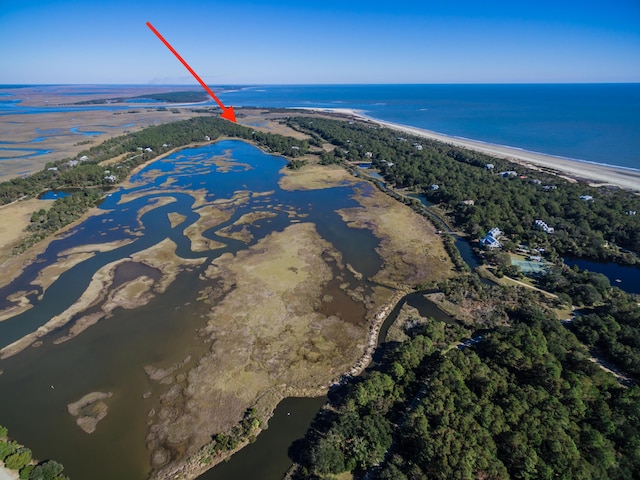 203 Lake Timicau Ln, Dewees Island SC, 29451 land for sale