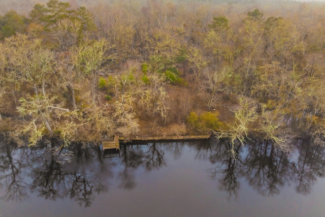 bird's eye view featuring a water view and a view of trees