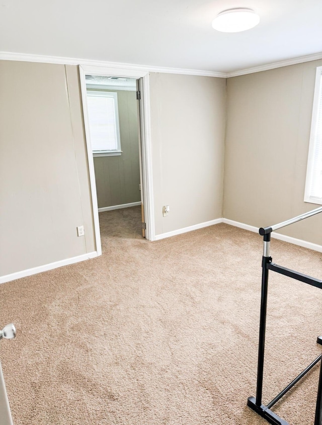 unfurnished room featuring ornamental molding and carpet