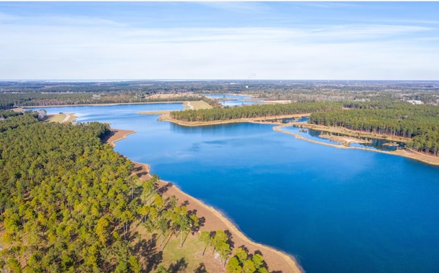 birds eye view of property featuring a view of trees and a water view