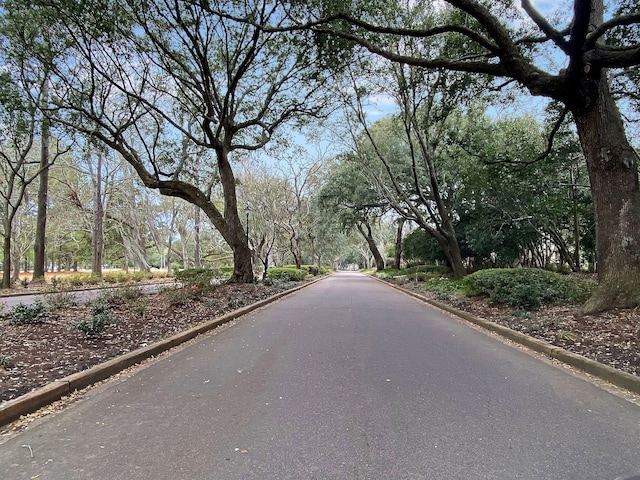 view of road featuring curbs