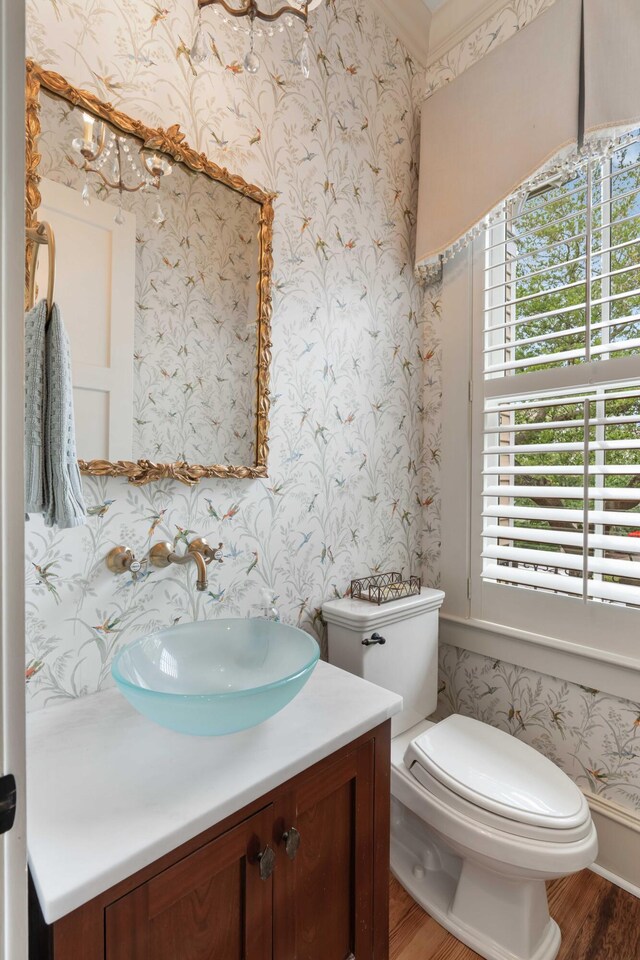 half bathroom with wood finished floors, vanity, and toilet