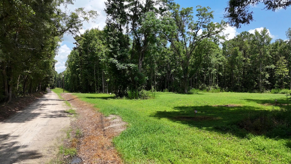 0 Rowdy Ln, Green Pond, SC 29446