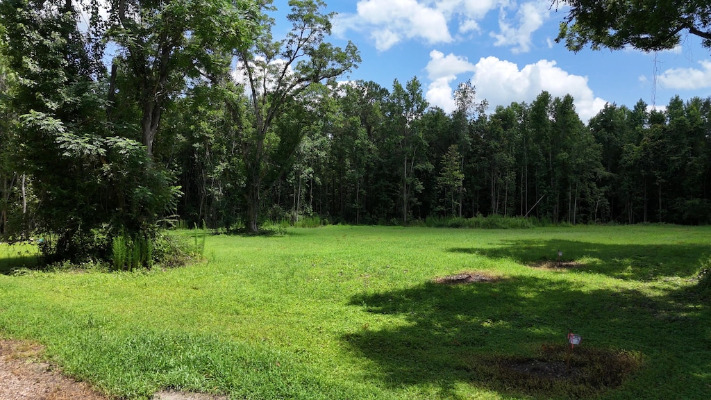 0 Rowdy Ln, Green Pond, SC 29446