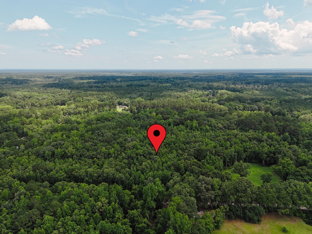 0 Rowdy Ln, Green Pond, SC 29446