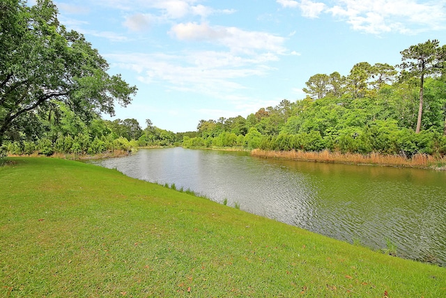 water view with a view of trees