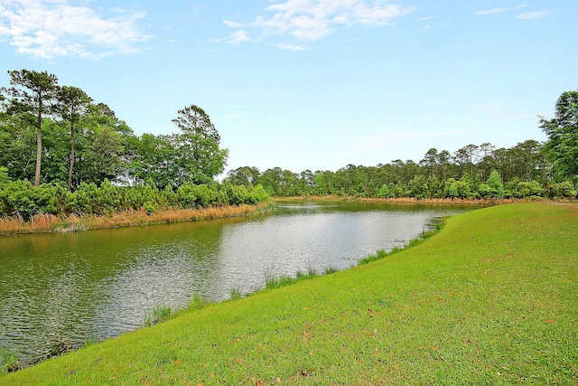 view of water feature