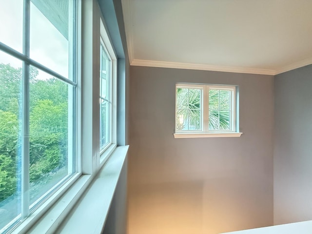 1225 Blakeway St Unit 906, Charleston, SC 29492 - empty room with plenty of natural light and crown molding