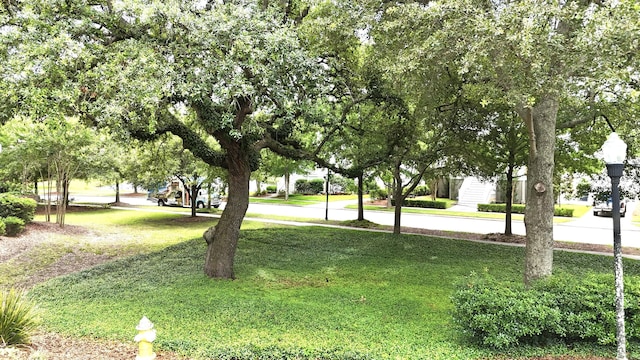 1225 Blakeway St Unit 906, Charleston, SC 29492 - view of green lawn