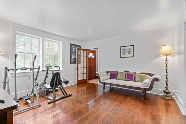 workout room featuring hardwood / wood-style floors