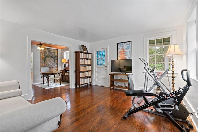 exercise area with ceiling fan and dark hardwood / wood-style flooring