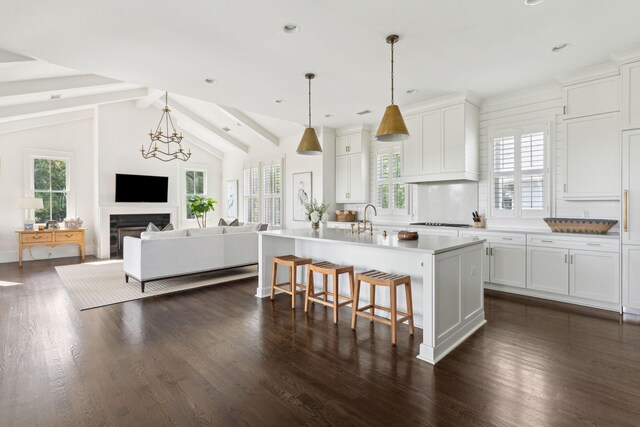 kitchen featuring plenty of natural light and dark wood-type flooring