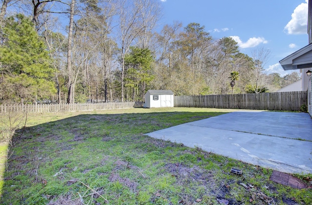 view of yard featuring a patio and a storage unit