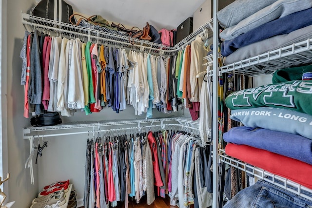 spacious closet featuring wood-type flooring