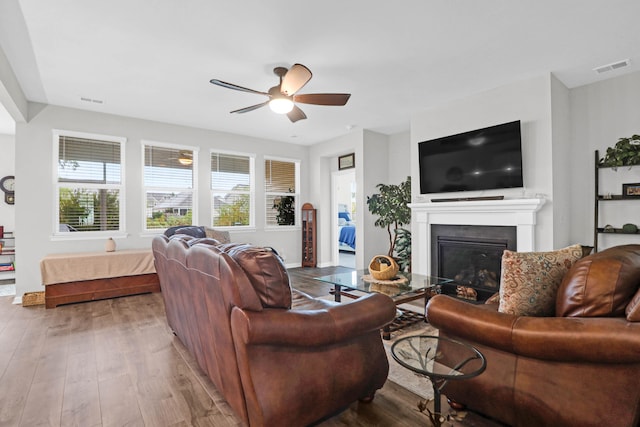 living room with ceiling fan and hardwood / wood-style floors