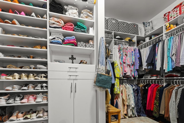 2792 River Vista Way, Mount Pleasant, SC 29466 - view of spacious closet