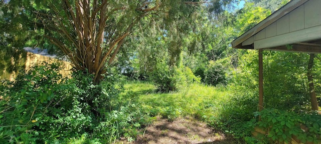 view of landscape featuring a view of trees