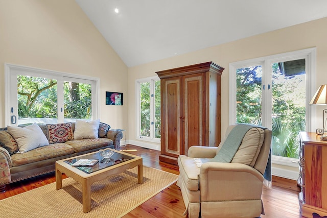 living room featuring wood-type flooring and a healthy amount of sunlight